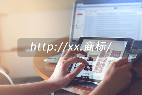 點(diǎn)商標(biāo)域名 個(gè)人互聯(lián)網(wǎng)服務(wù)的戰(zhàn)略布局新選擇